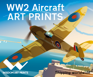 Rob Wisdom Spitfire Aviation Art