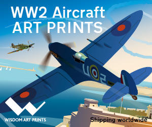 Rob Wisdom Spitfire Aviation Art