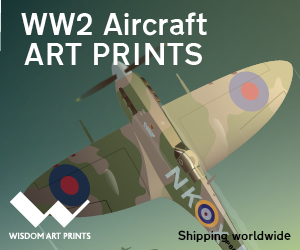 Rob Wisdom Spitfire Aviation Art