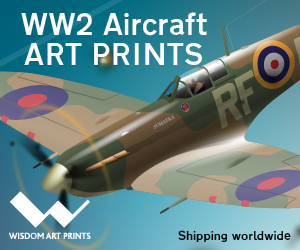 Rob Wisdom Spitfire Aviation Art