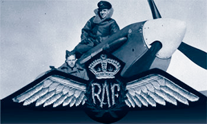 Spitfire Pilot Search Engine